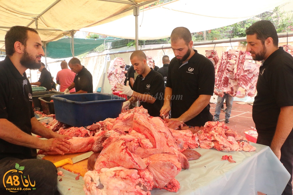 ada7y forthei (14).JPG